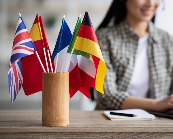 Assorted small flags in a wooden holder on a desk with a person sitting in the background.