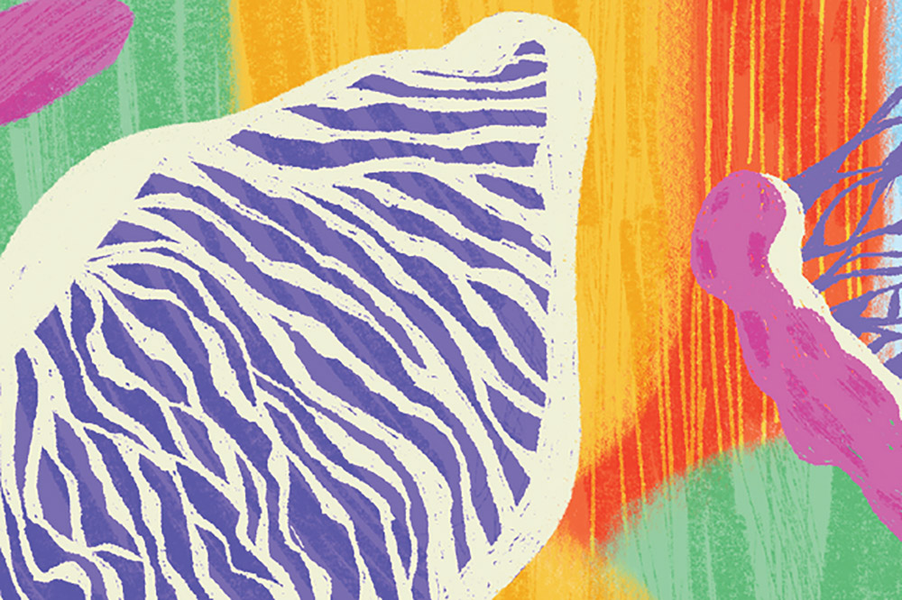 Abstract illustration featuring a white shape with purple zebra-like stripes on a colorful background of orange, green, and pink accents.